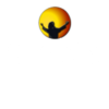 כאייל תערוג (5)